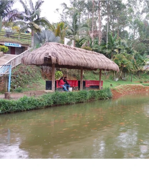 Pesca Deportiva